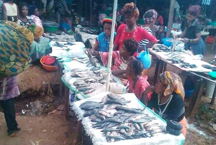 opérateurs économiques - DGDA-marchés - Kamituga - Bukavu