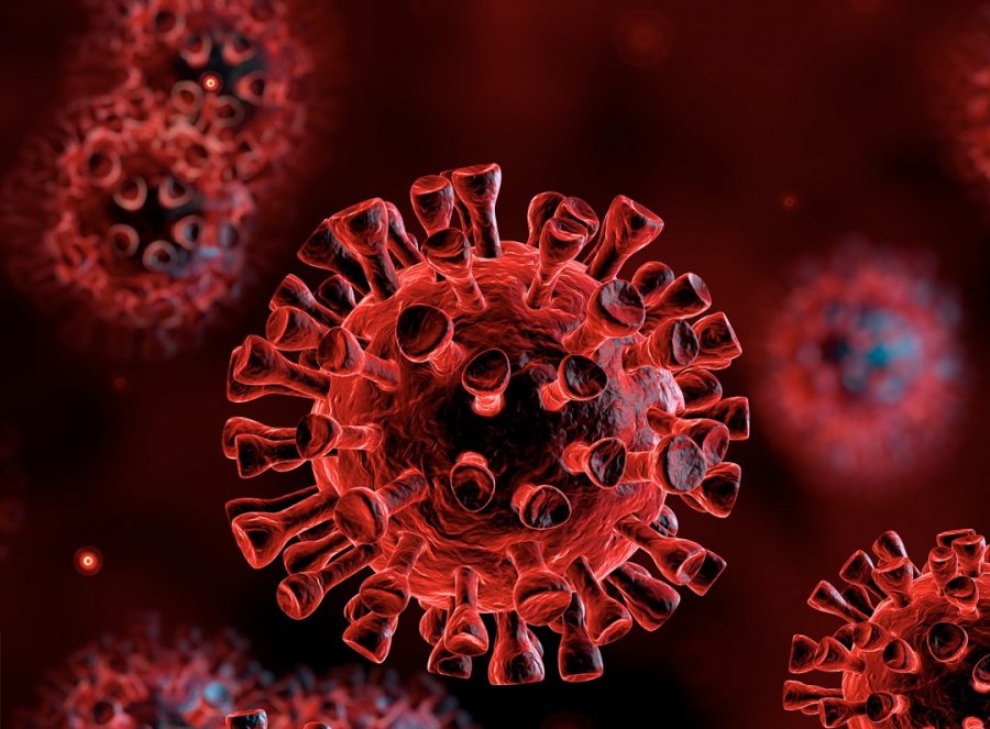 coronavirus -OMS. 131 nouveaux cas confirmés
