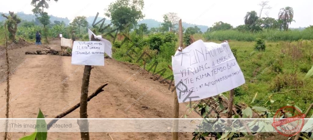 Virunga Rwanguba Rutshuru