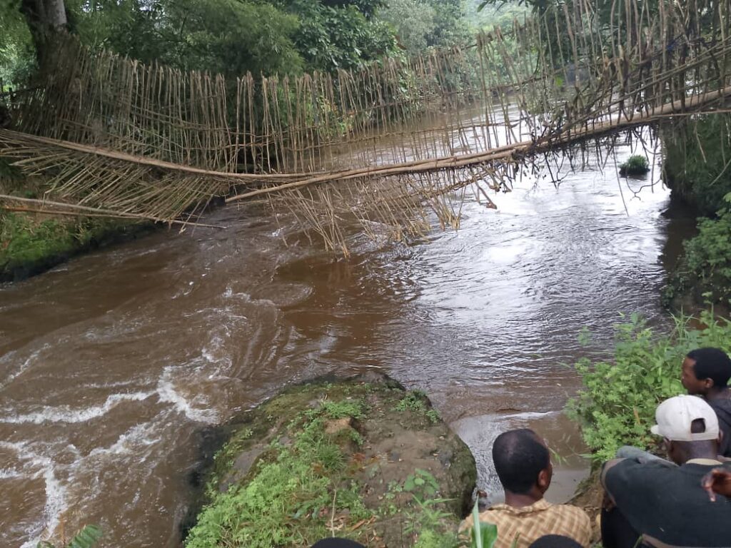 Effondrement du pont en liane à Kasika