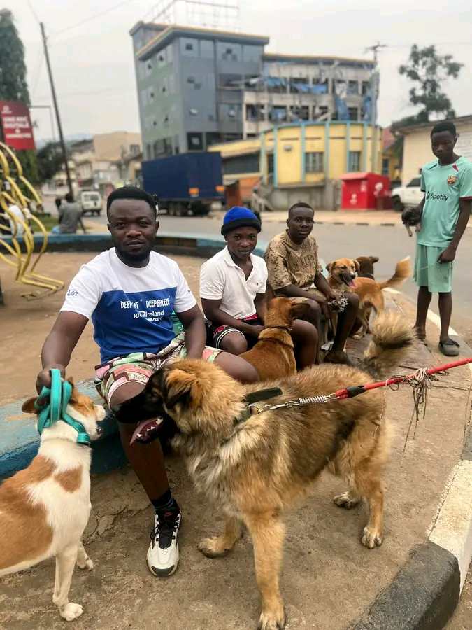 Sauvons nos animaux