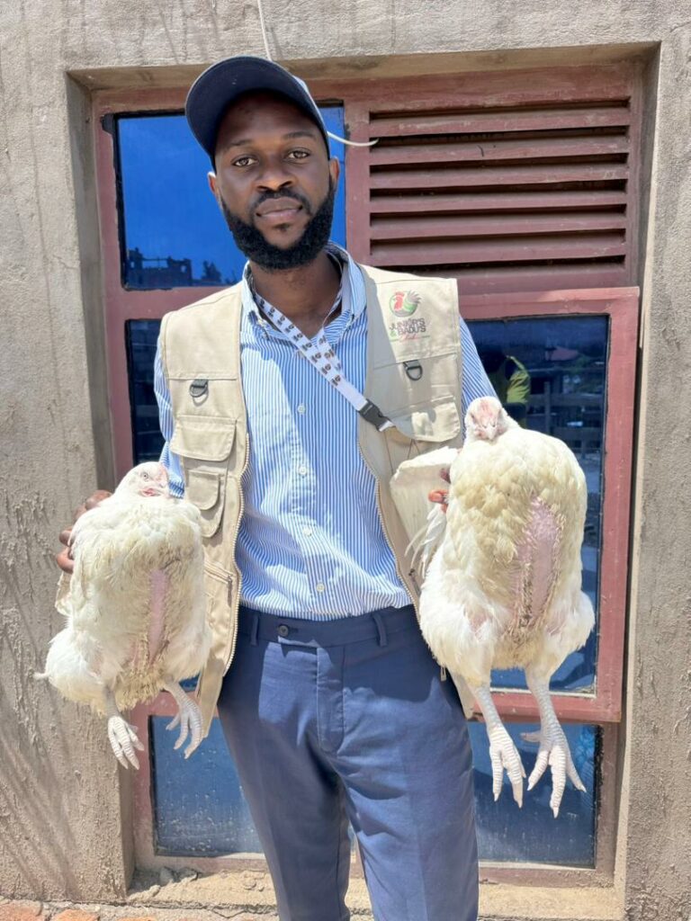 Semaine mondiale de l’entrepreneuriat : Junior Mudekereza, la jeunesse qui ose pour booster la consommation locale de poulets à Bukavu Junior Mudekereza