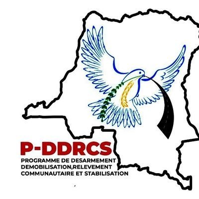 Nord-Kivu : en grève depuis trois mois, les agents du P-DDRCS annoncent un durcissement de leurs actions P-DDRCS
