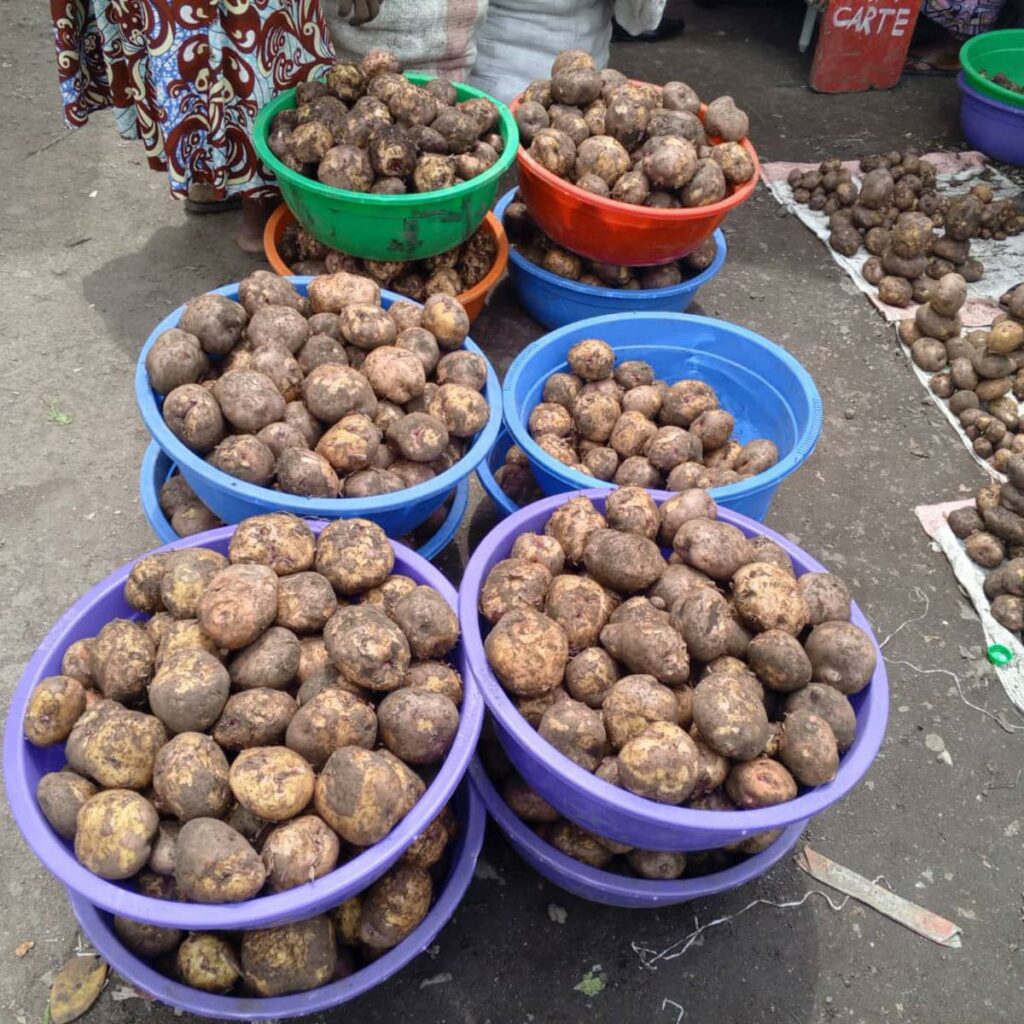 Goma : malgré le prix officiel fixé, la pomme de terre reste hors de portée de nombreux ménages Pommes de terre à Goma